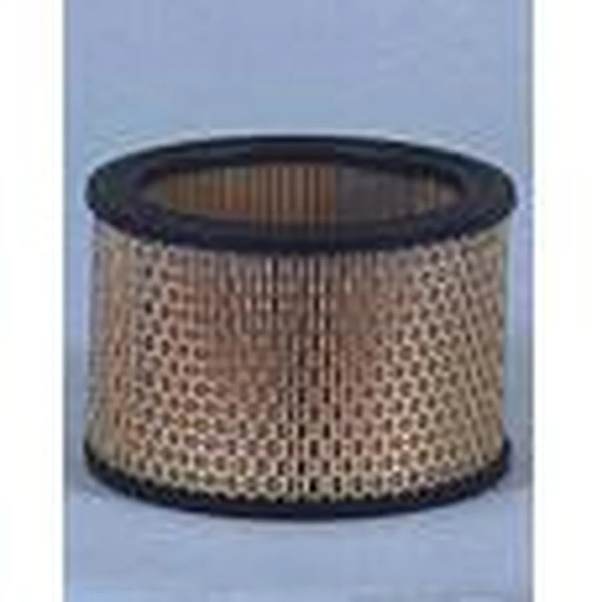 A 12299 Air Filter