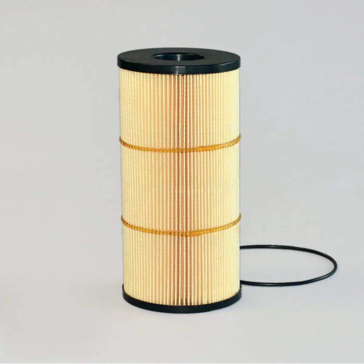 Fuel Filter CH 10930
