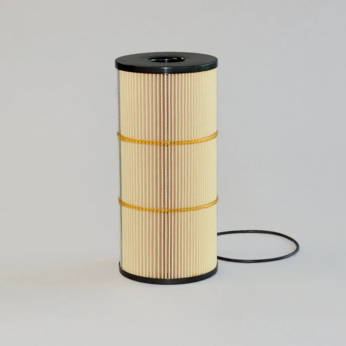 CH 10931 Fuel Filter