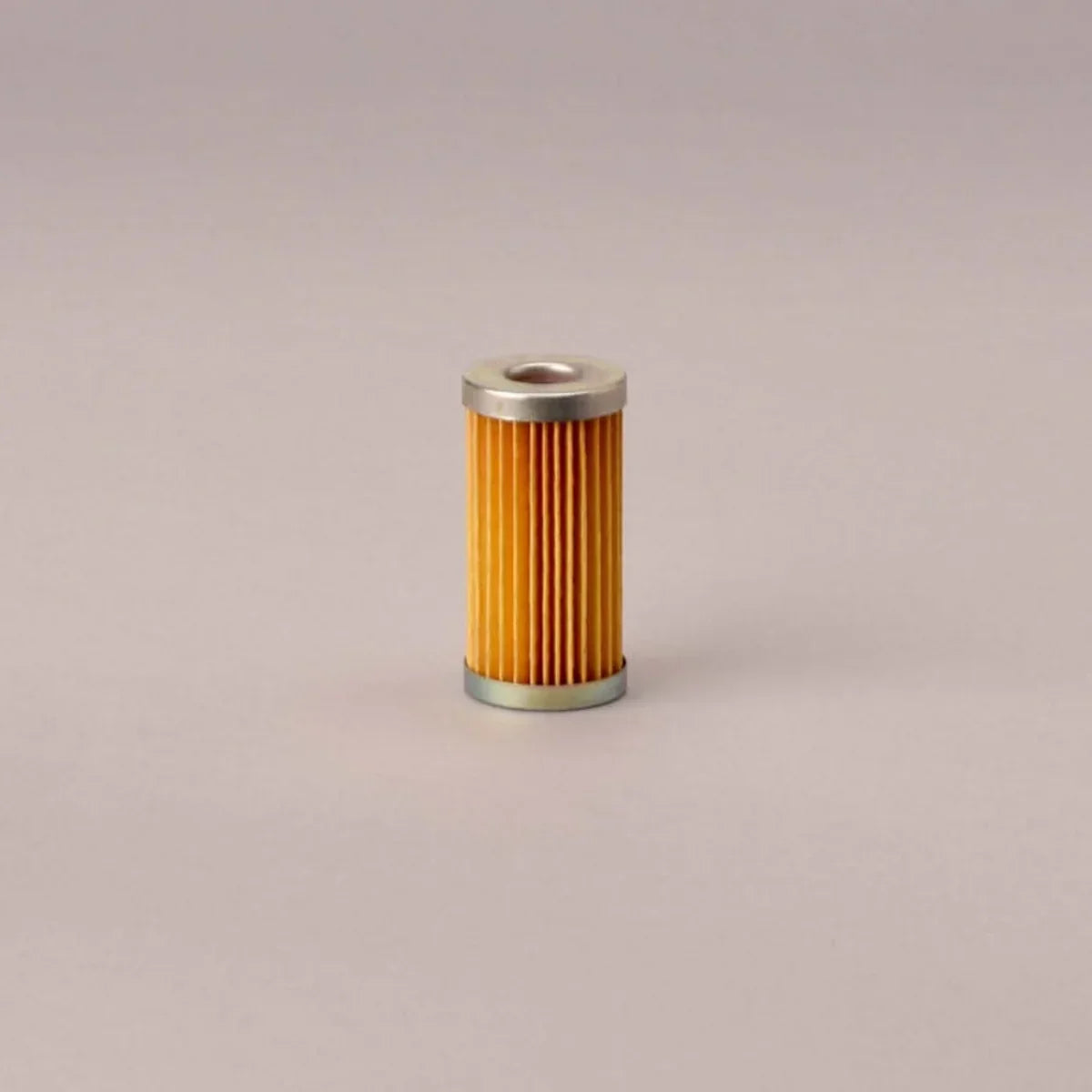 FM 229 Fuel Filter