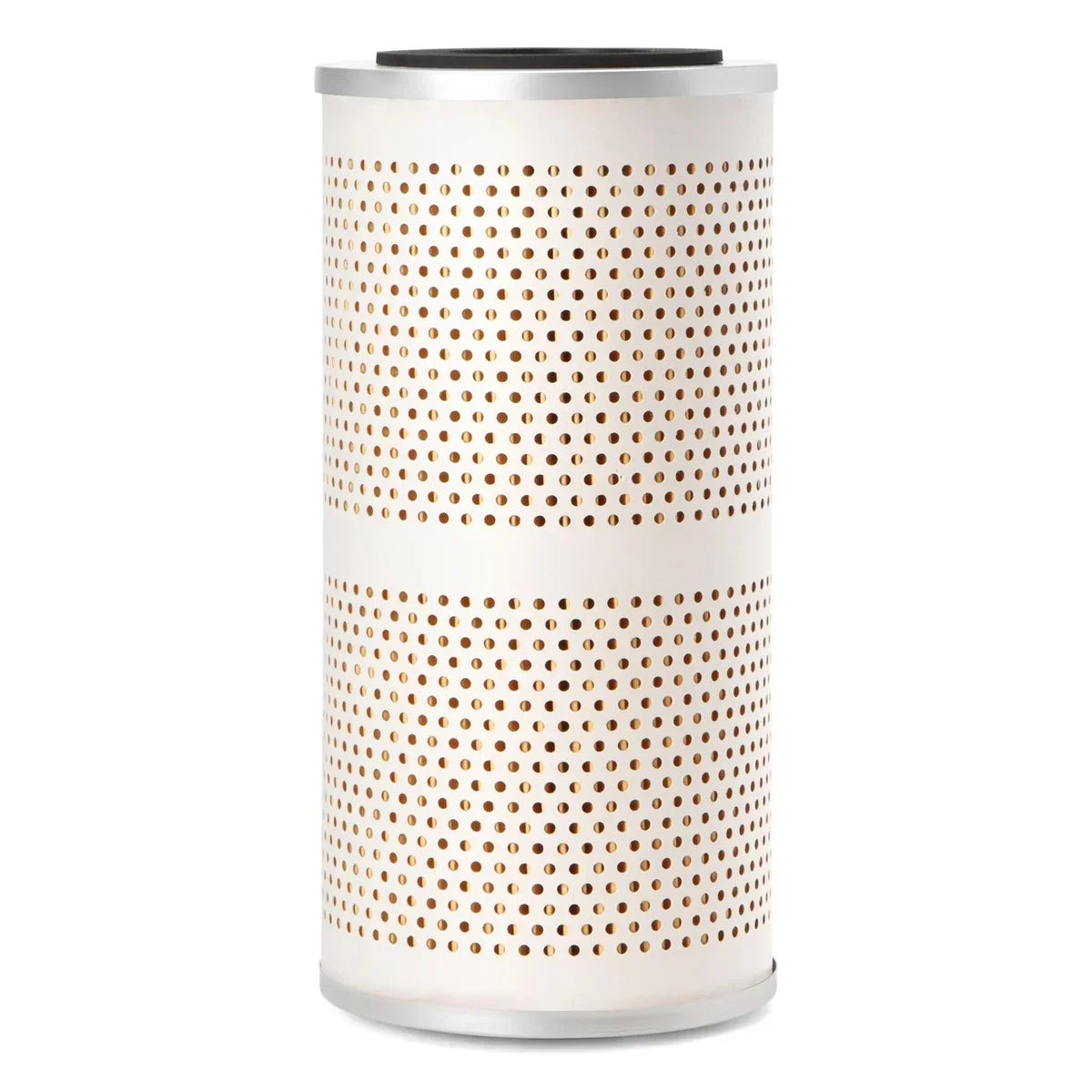 WGF 5251 Fuel Filter