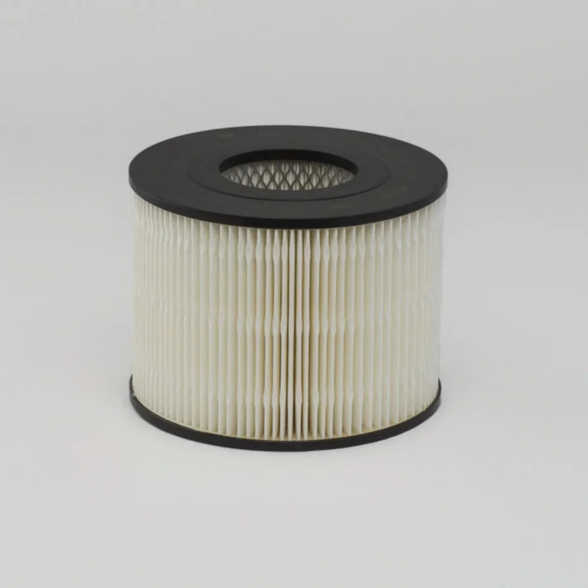 Donaldson Air Filter – 17801-44011