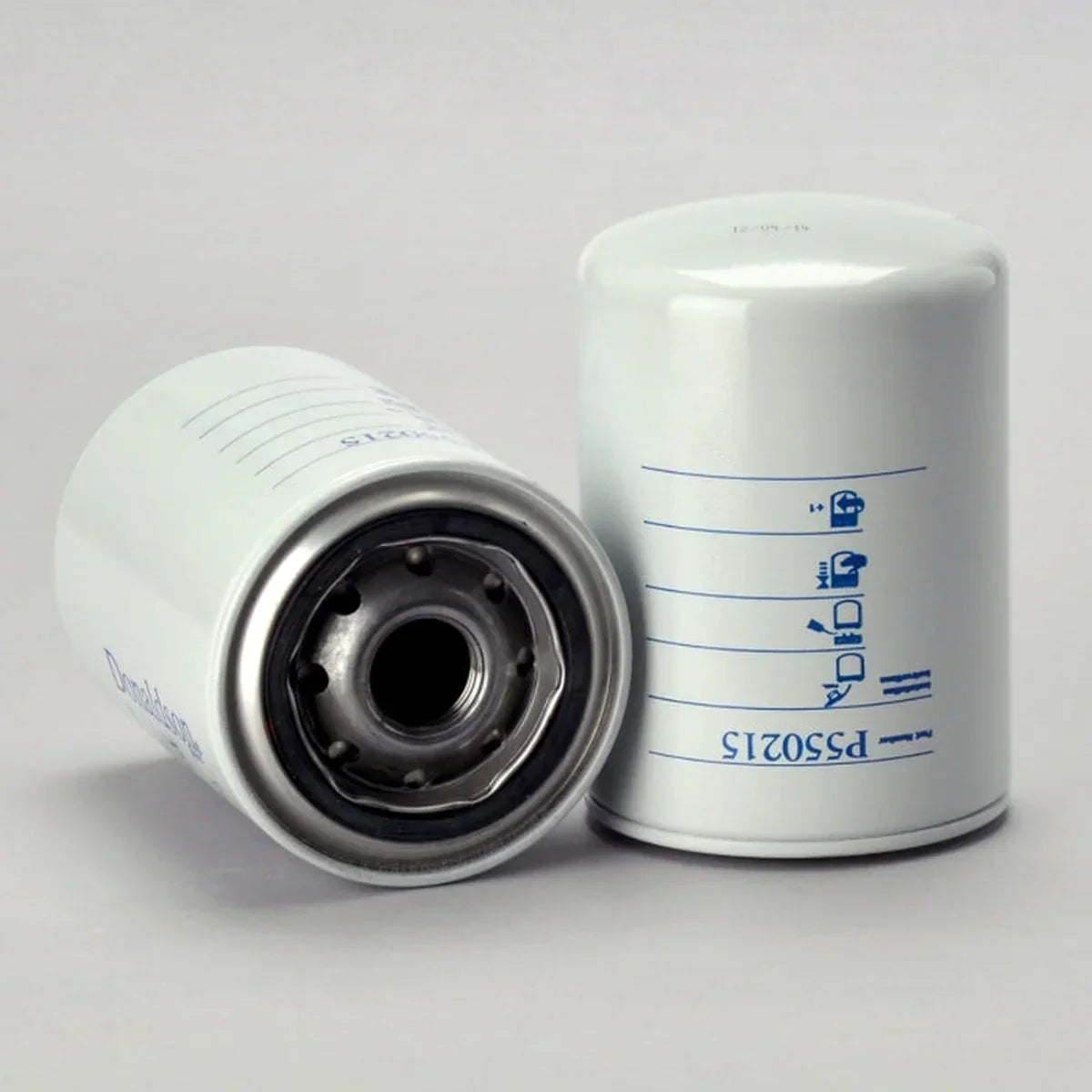 WGFS 1277 Fuel Filter